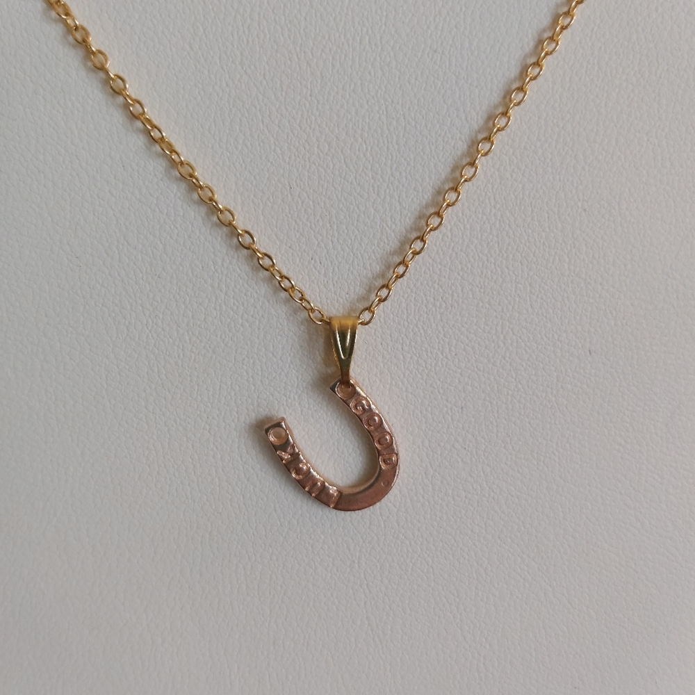 2 for 20$: U Shaped Pendant Necklace
